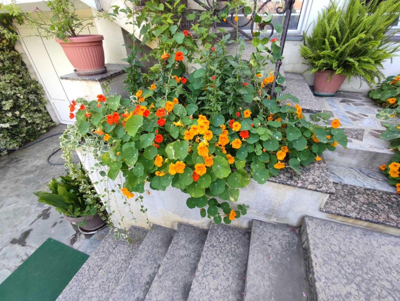 וראנג'ה Vila Sentic מראה חיצוני תמונה