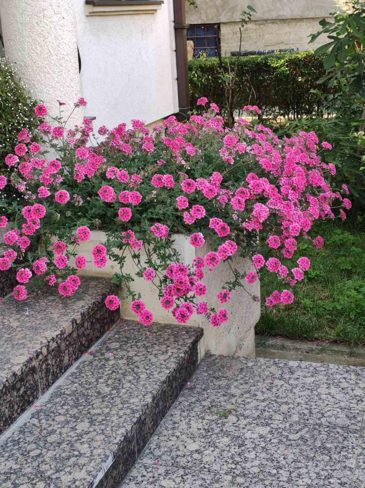 וראנג'ה Vila Sentic מראה חיצוני תמונה